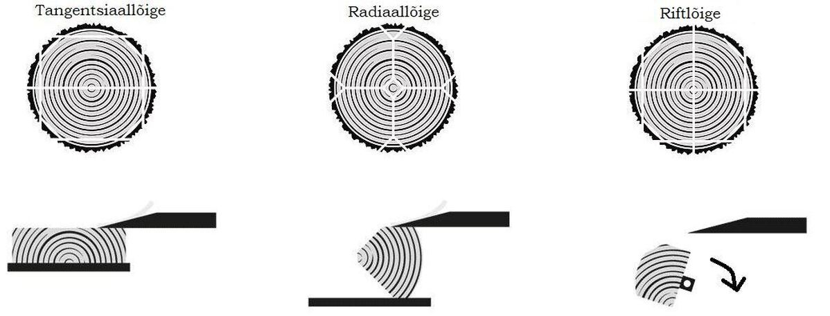 Тангенциальный и радиальный распил шпона